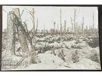 5209 Kingdom of Bulgaria destroyed military trenches German soldiers