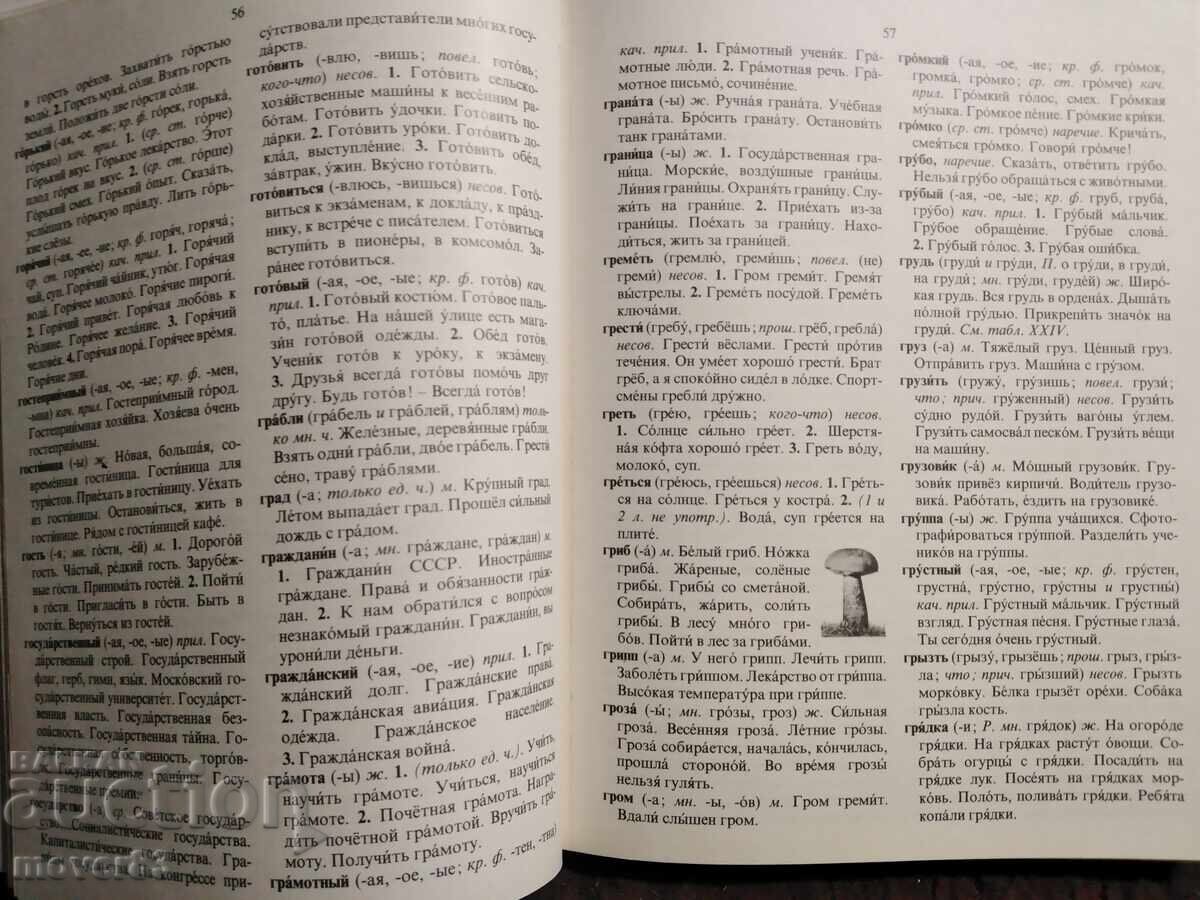 4000 най употребявани думи в руския език. Руски език - 5