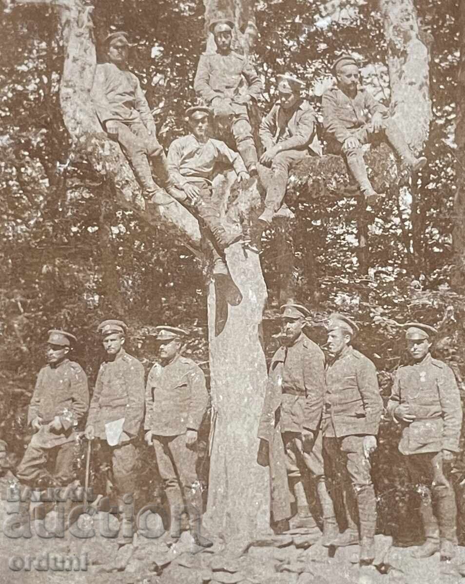 5223 Kingdom of Bulgaria Officers Macedonian Regiments Belasitsa 19 with price 15.00 BGN | € 7.67