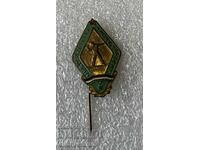 Old military badge HUNGARY