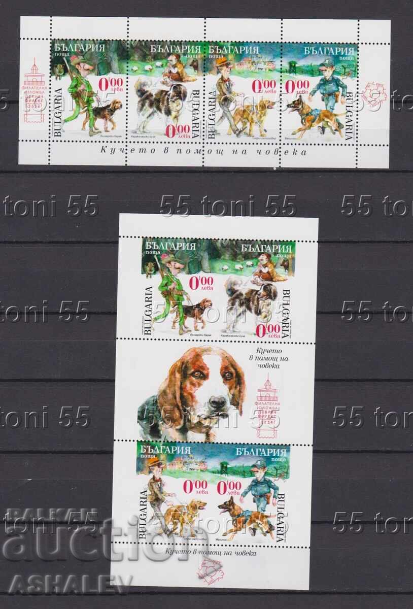 2024 2 suv.bloka Το σκυλί ως βοηθός του ανθρώπου