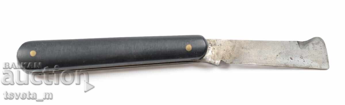 Delivery of Fruit knife