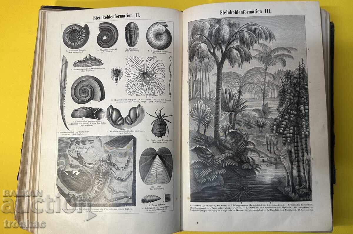 Old Book Reference Work with General Knowledge 1897 - 12 Old Book Reference Work with General Knowledge 1897 - 12