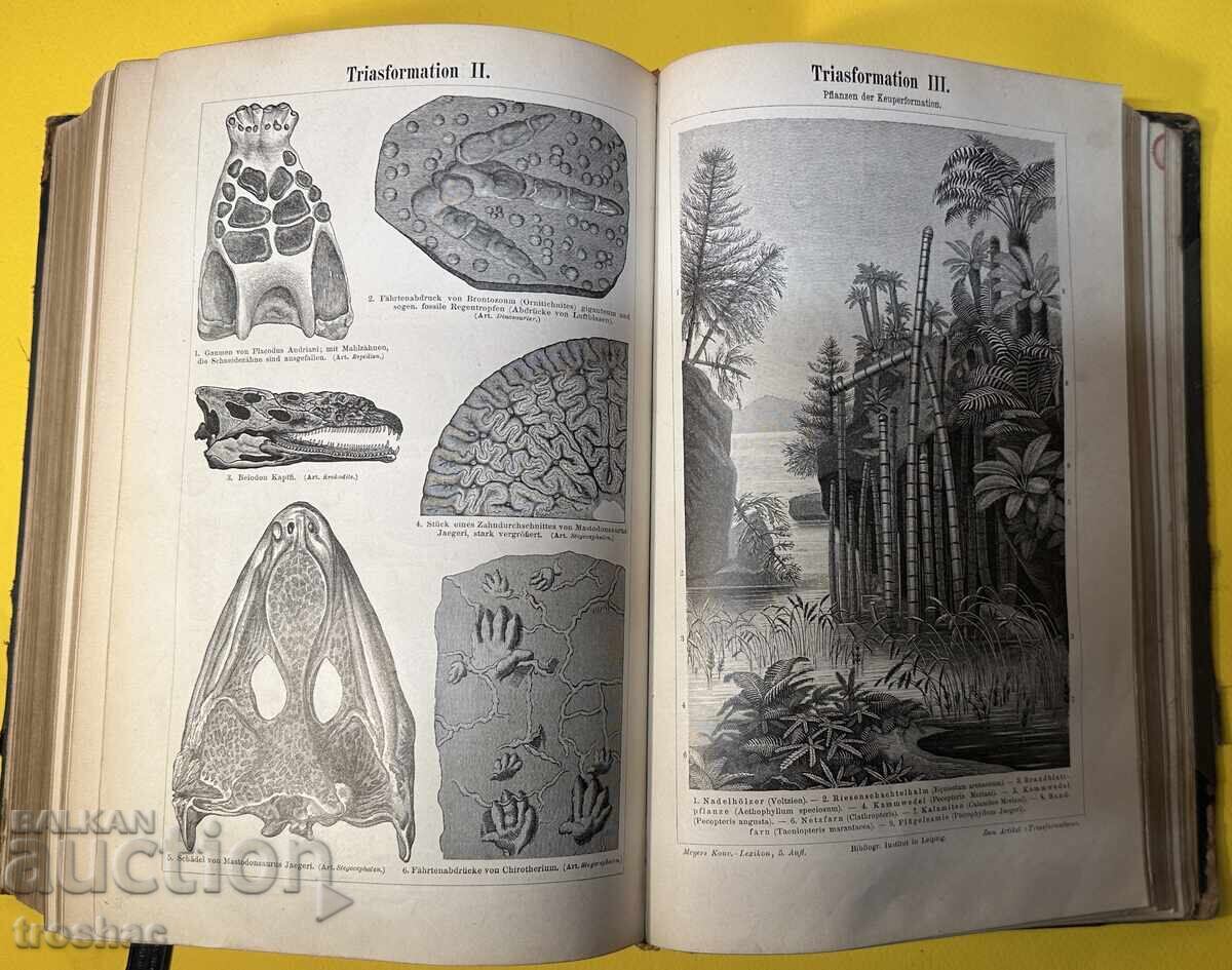 Old Book Reference Work with General Knowledge 1897 - 13 Old Book Reference Work with General Knowledge 1897 - 13