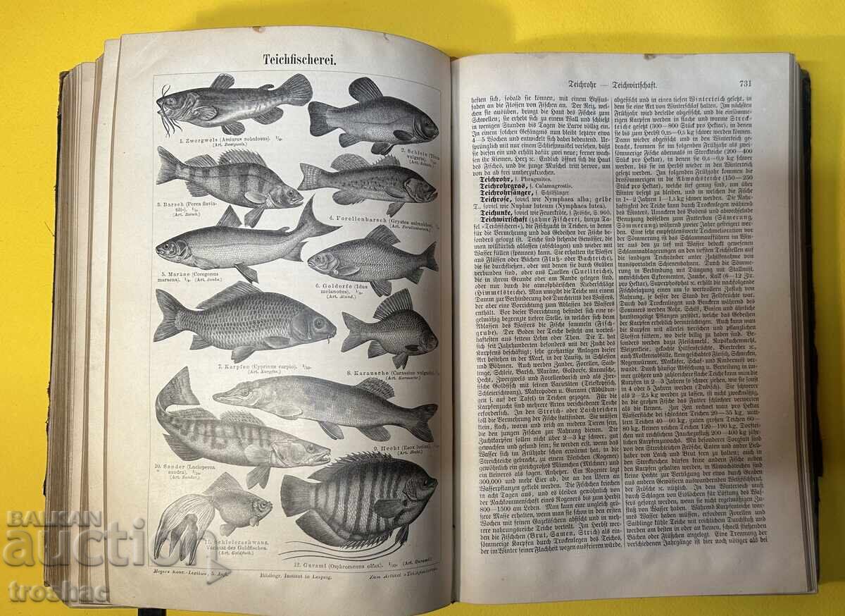 Old Book Reference Work with General Knowledge 1897 - 8 Old Book Reference Work with General Knowledge 1897 - 8