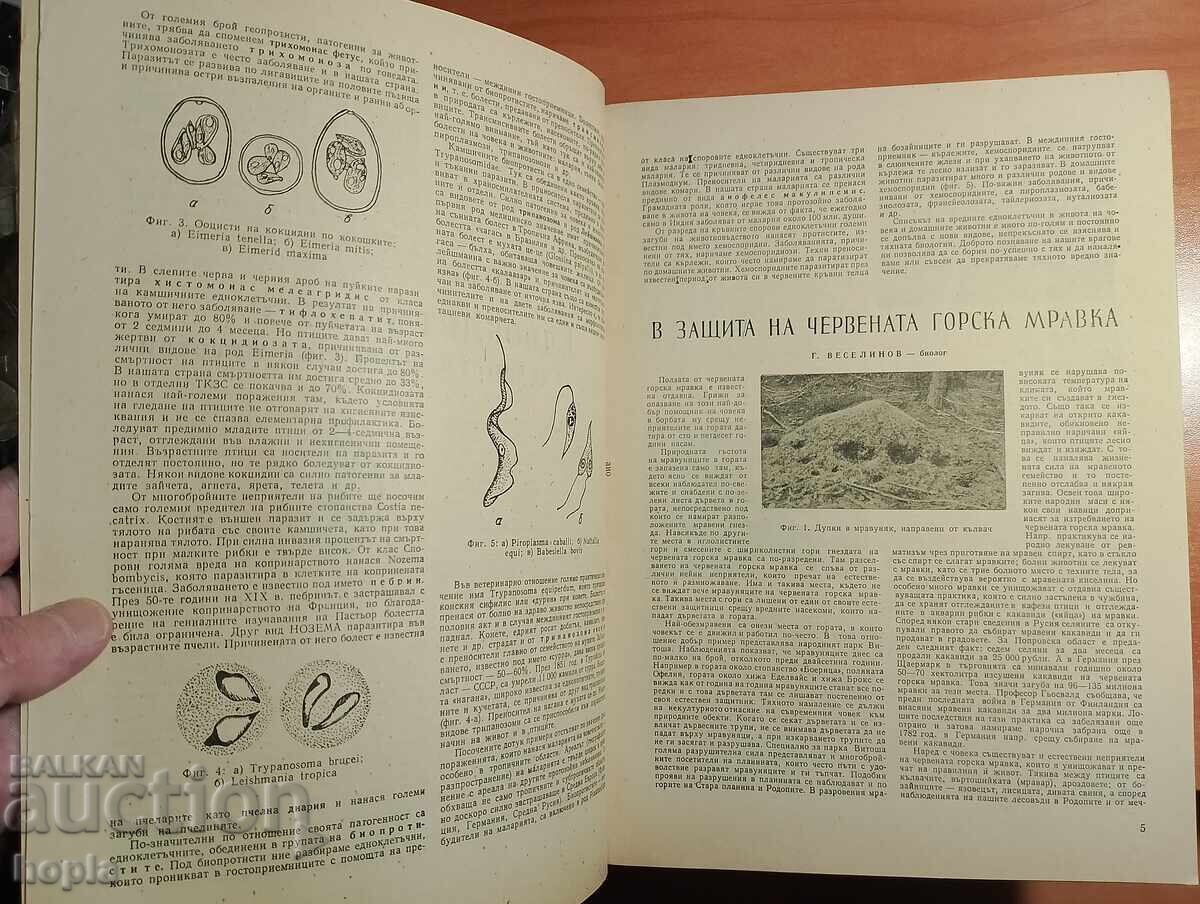 Auction NATURE AND KNOWLEDGE Magazine 1957 Auction NATURE AND KNOWLEDGE Magazine 1957