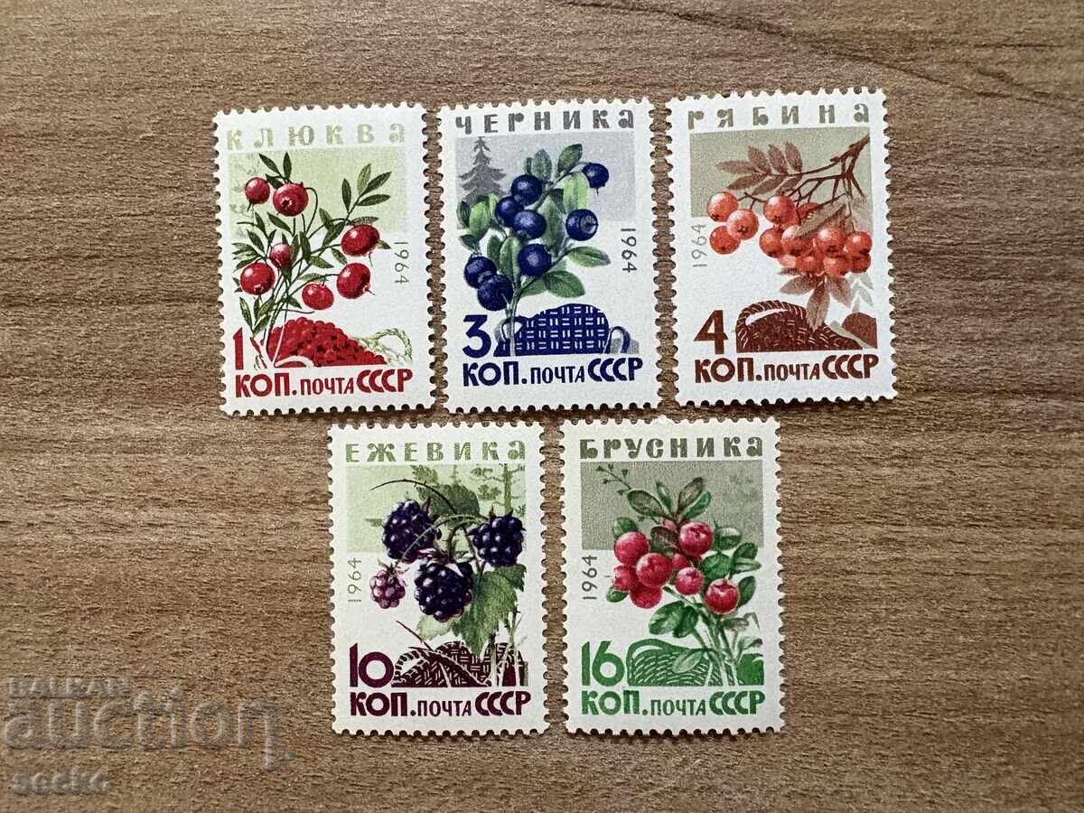 СССР - Горски плодове (1964) MNH