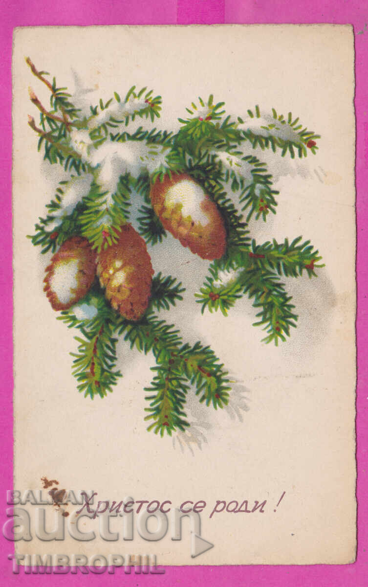 Auction 316849 / Christ is born! 1934 Twig with pine cones # 7102 Auction 316849 / Christ is born! 1934 Twig with pine cones # 7102