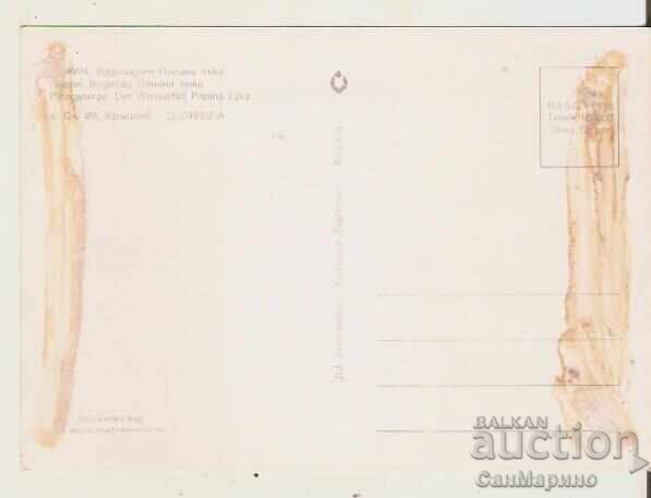 Картичка България Пирин Водопад Попина лъка 2* с цена 0.50 лв. | € 0.26 Картичка България Пирин Водопад Попина лъка 2* с цена 0.50 лв. | € 0.26