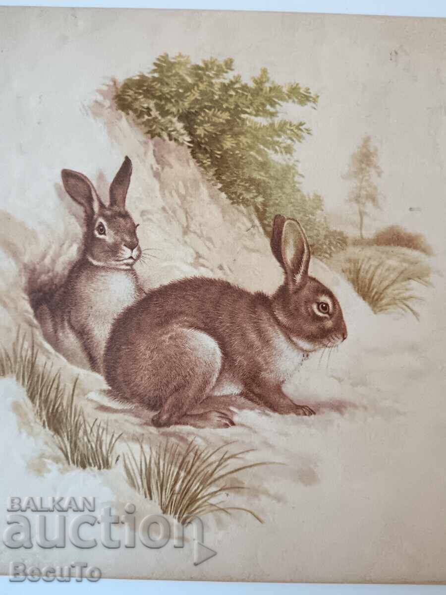 Collector's plate by Villeroy & Boch with hunting motifs with price 30.00 BGN | € 15.34 Collector's plate by Villeroy & Boch with hunting motifs with price 30.00 BGN | € 15.34