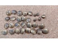 Nasturi regali, Sankt Petersburg - Fr. Bunder, 30 buc