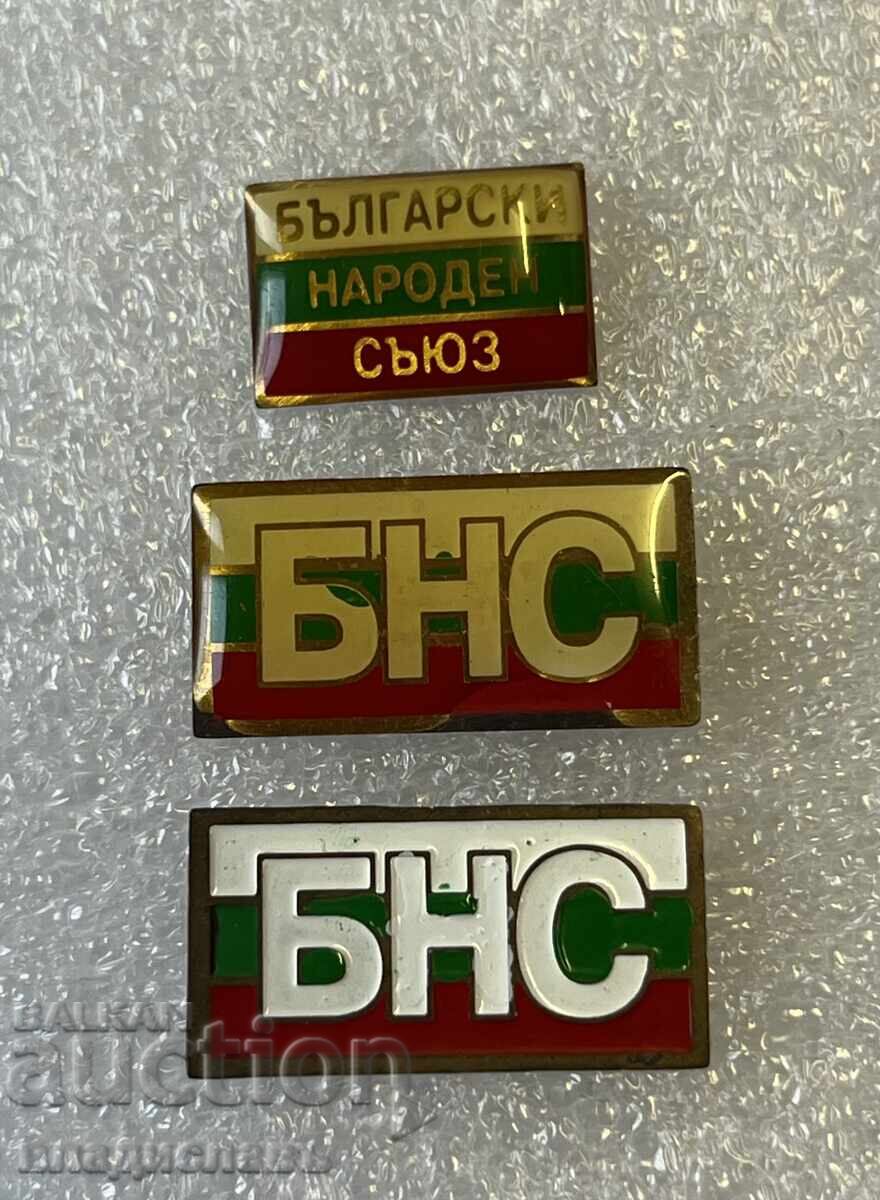 Lot of Badges - BNS Party Lot of Badges - BNS Party