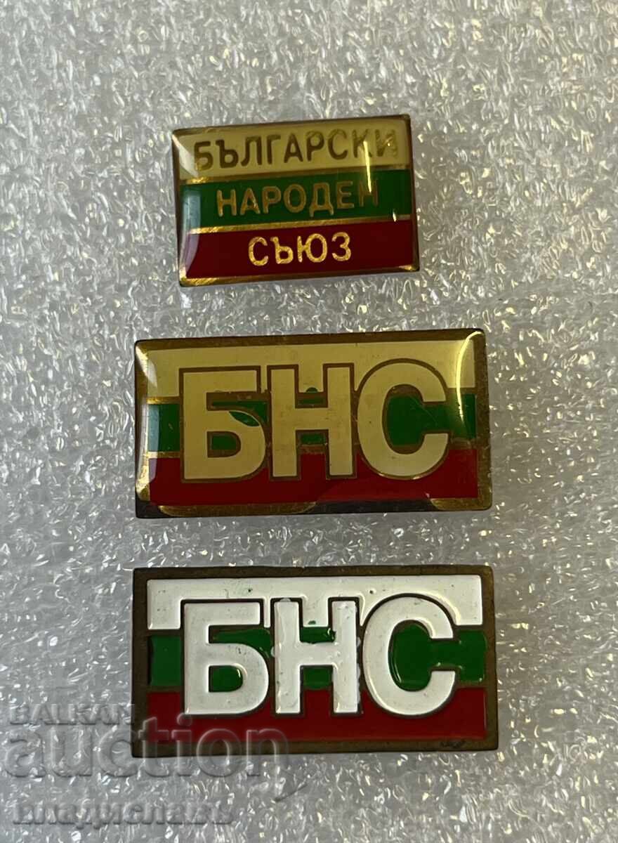 Лот значки Партия БНС
