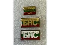 Lot of Badges - BNS Party