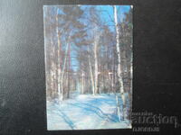 Старо руско календарче, 1974 г.