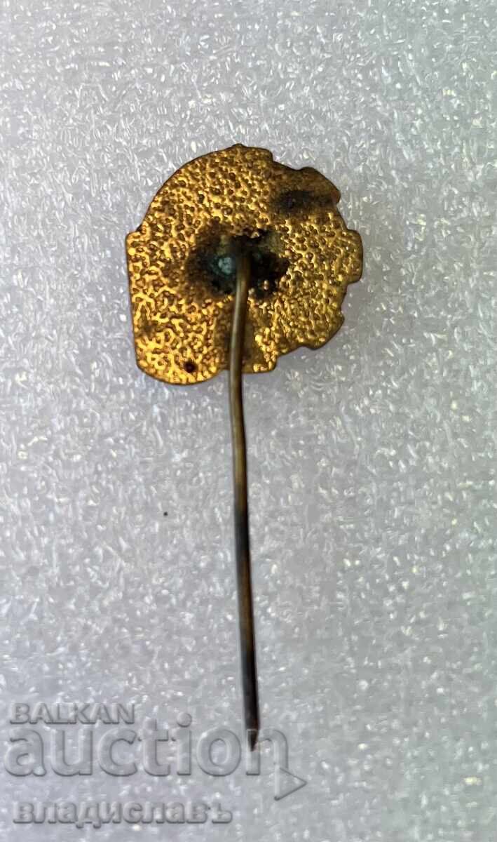 5 χρόνια ΜΖ ΠΡΕΣΛΑΒ με τιμή 19.00 BGN | € 9.71 5 χρόνια ΜΖ ΠΡΕΣΛΑΒ με τιμή 19.00 BGN | € 9.71