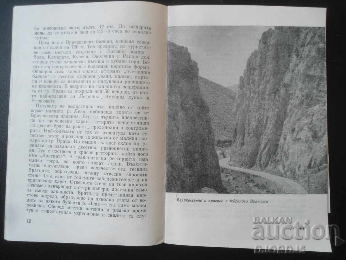 Auction GLACIER, Vladimir Popov Auction GLACIER, Vladimir Popov