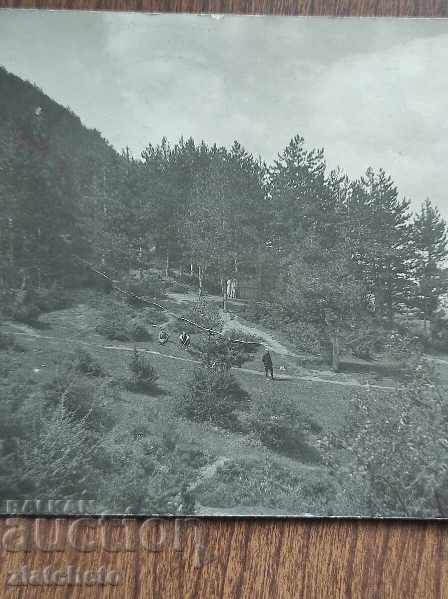 Γραμματόσημο Βασίλειο Βουλγαρίας - Μπάνκια; με τιμή 20.00 BGN | € 10.23 Γραμματόσημο Βασίλειο Βουλγαρίας - Μπάνκια; με τιμή 20.00 BGN | € 10.23