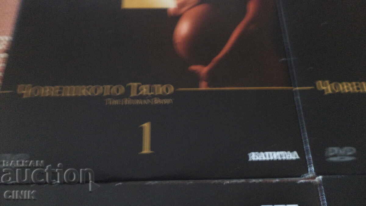 DVD-uri FILME cu preț 10.00 BGN | € 5.11 DVD-uri FILME cu preț 10.00 BGN | € 5.11