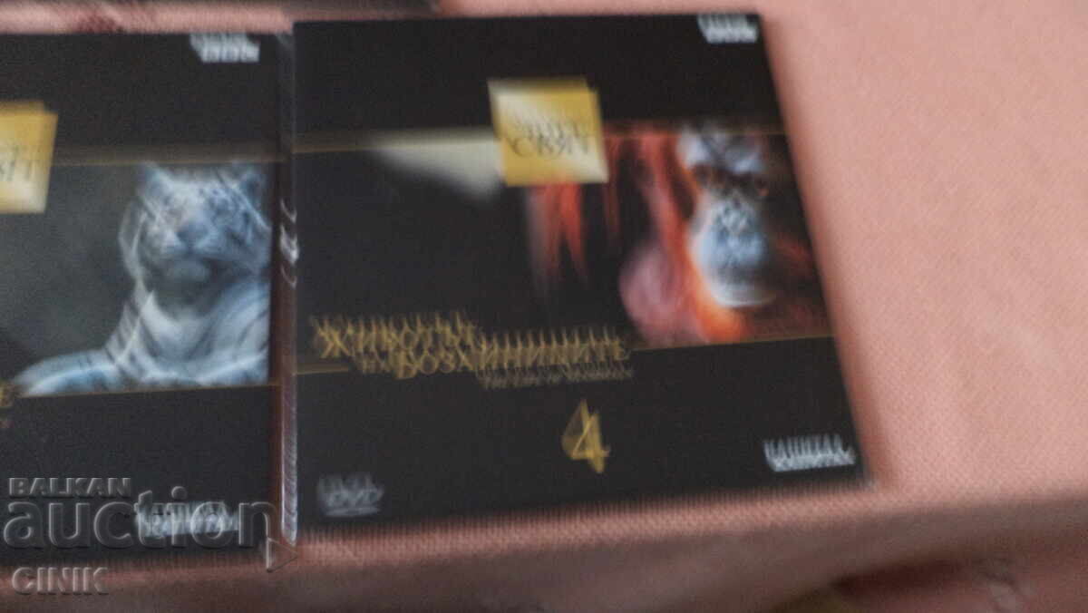 DVD-uri FILME - 5 DVD-uri FILME - 5