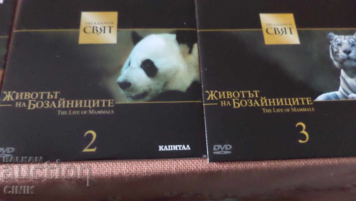 DVD-uri FILME - 7 DVD-uri FILME - 7