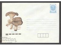 Plic curat - Burete brun căprioară