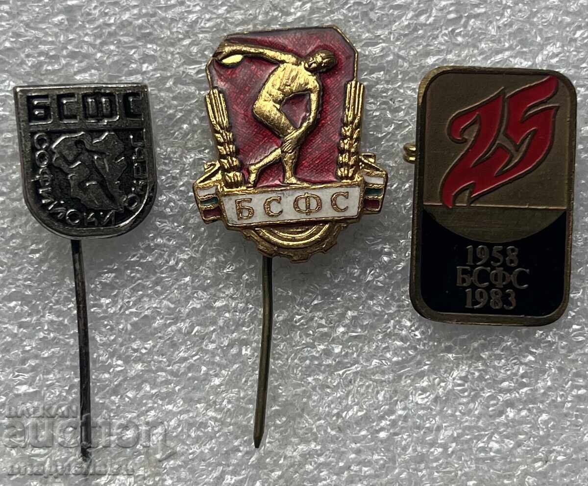 Lot insignie BSFȘ Lot insignie BSFȘ