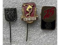 Лот значки БСФС