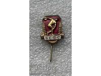 стара значка БСФС