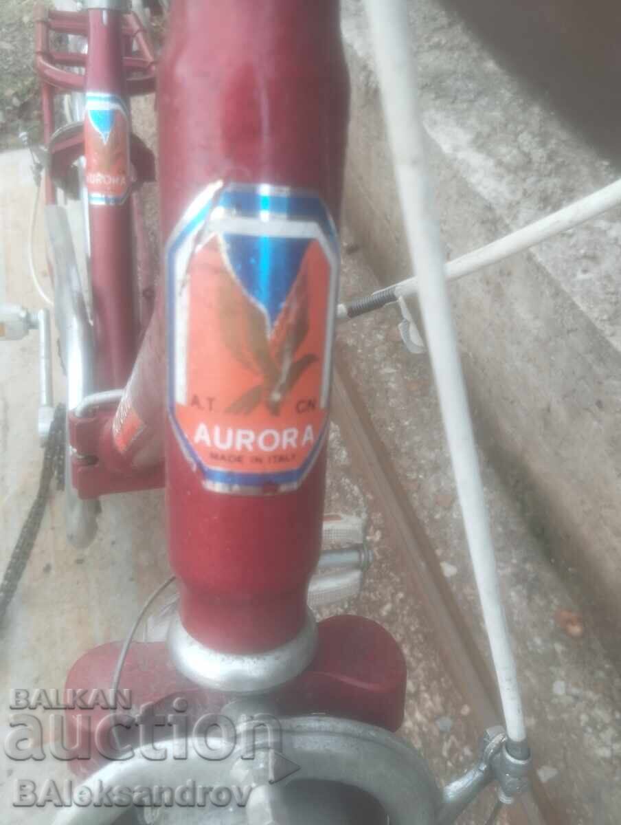 Колело проект италианско - 5 Колело проект италианско - 5