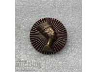Vechi insignă Regina Nefertiti Egipt