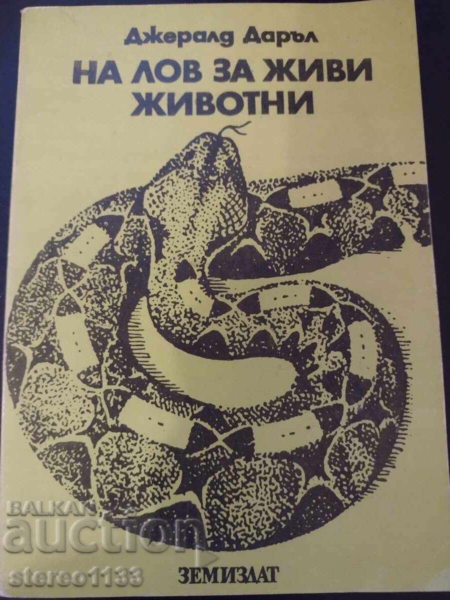 În căutare de animale vii În căutare de animale vii