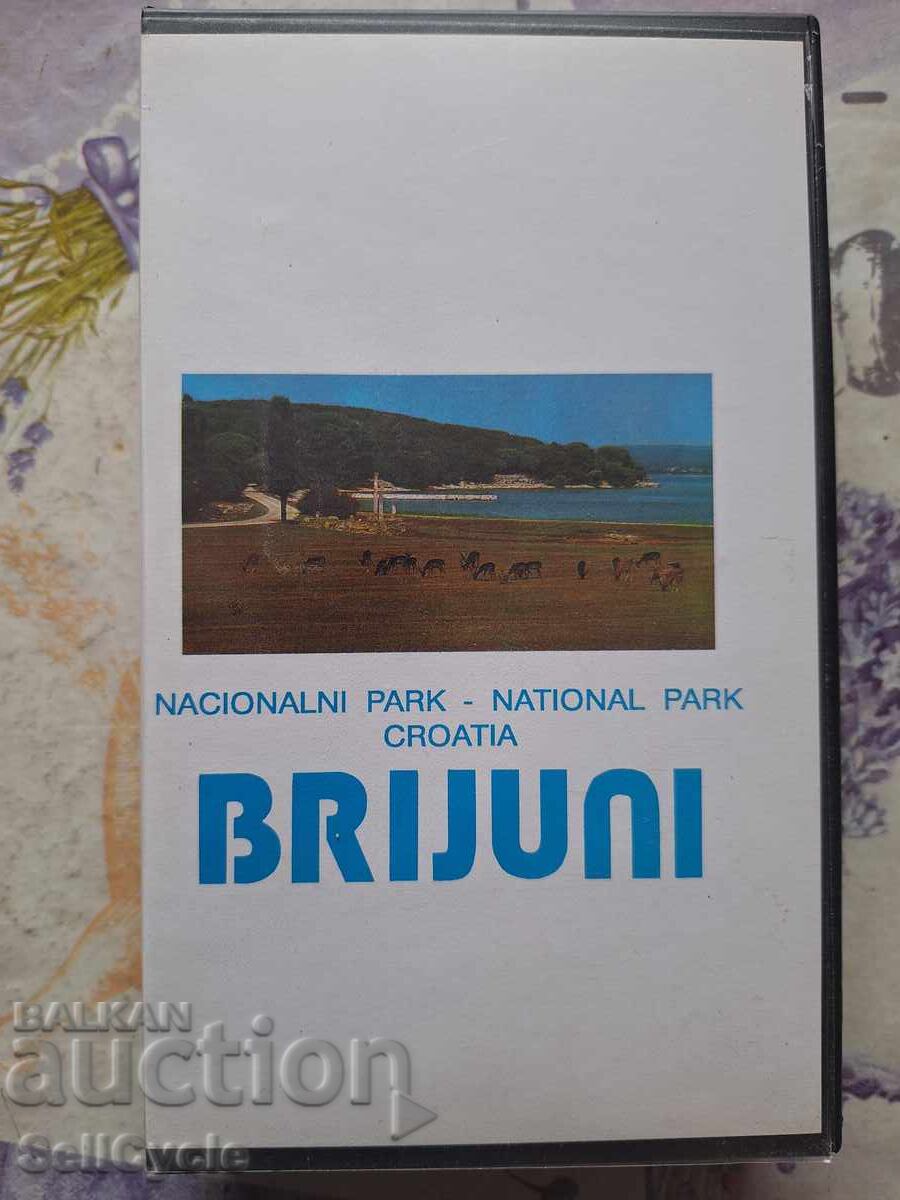 ✅ΒΙΝΤΕΟΚΑΣΕΤΑ - ΜΠΡΙΖΟΥΝΙ❗