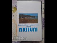 ✅ΒΙΝΤΕΟΚΑΣΕΤΑ - ΜΠΡΙΖΟΥΝΙ❗