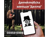 Detectiv profesionist