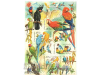 2004. Τσεχία. Παπαγάλοι. Μπλοκ