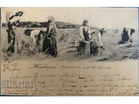 1902g - Cărți poștale călătorite țariste - Sezonieri (Iv. Angelov)