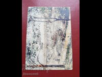 Ρούσε - η γέφυρα του ποταμού Λομ 1960