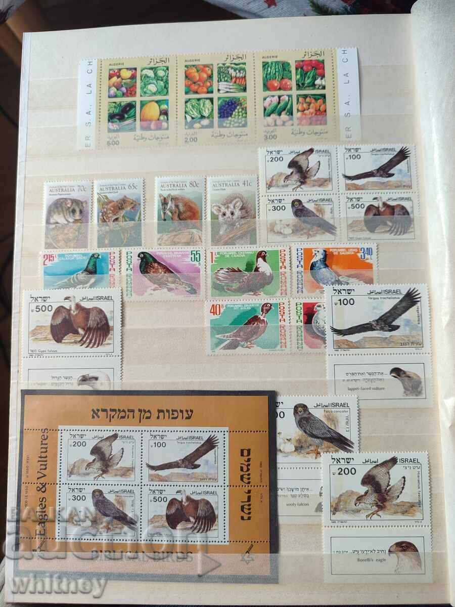 Album de timbre - 13 Album de timbre - 13