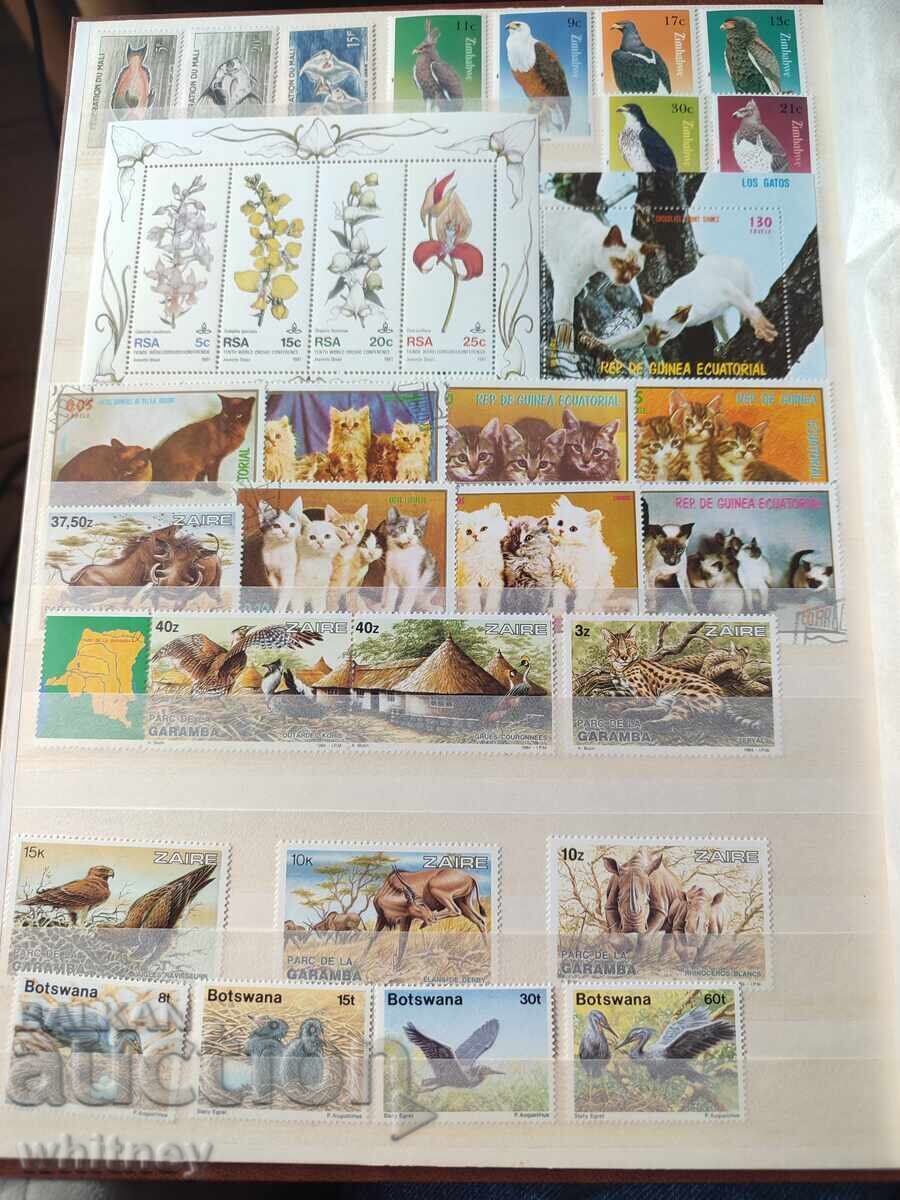 Album de timbre - 5 Album de timbre - 5