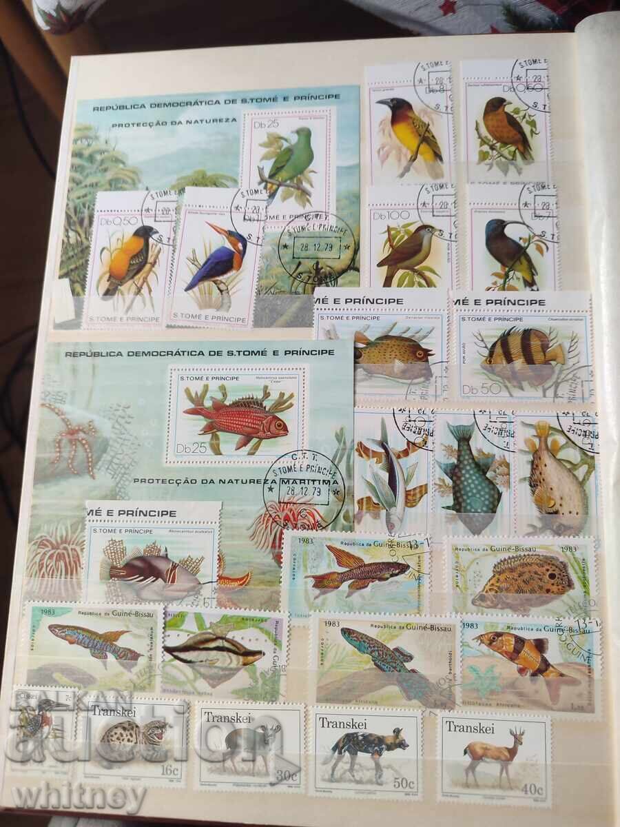 Album de timbre - 9 Album de timbre - 9