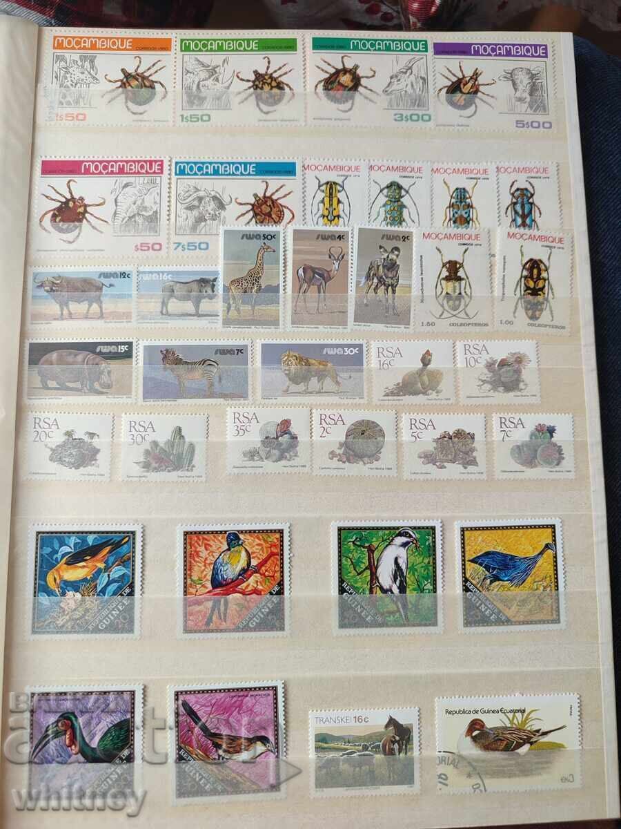 Album de timbre - 10 Album de timbre - 10