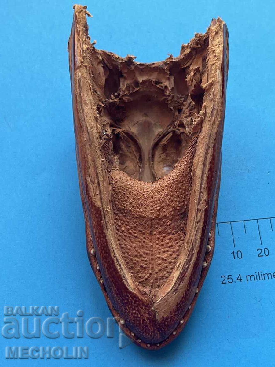 АЛИГАТОР - 5 АЛИГАТОР - 5