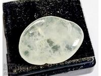 ΦΥΣΙΚΗ ΔΙΑΤΡΟΦΗ - (696)