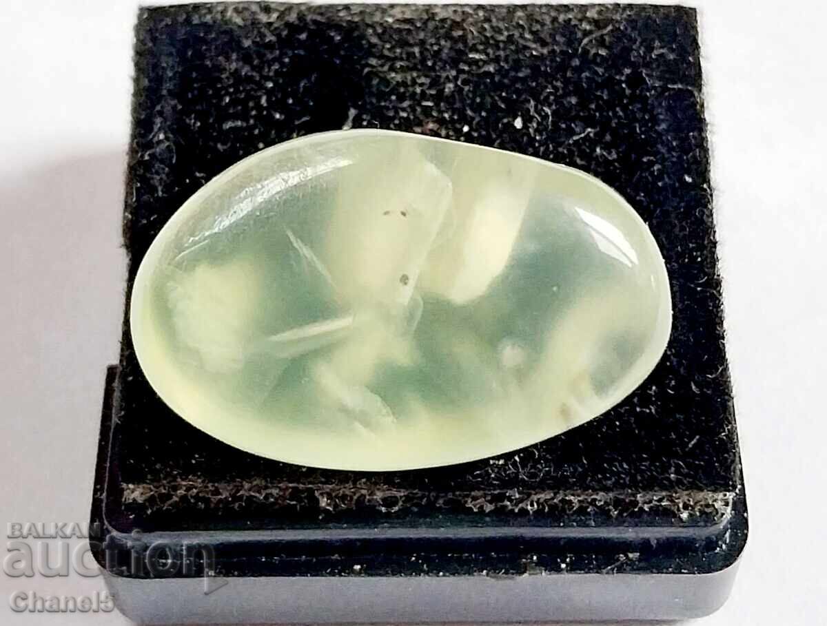 ΦΥΣΙΚΗ ΤΡΟΦΗ - (697) ΦΥΣΙΚΗ ΤΡΟΦΗ - (697)