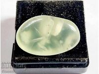 ΦΥΣΙΚΗ ΤΡΟΦΗ - (697)