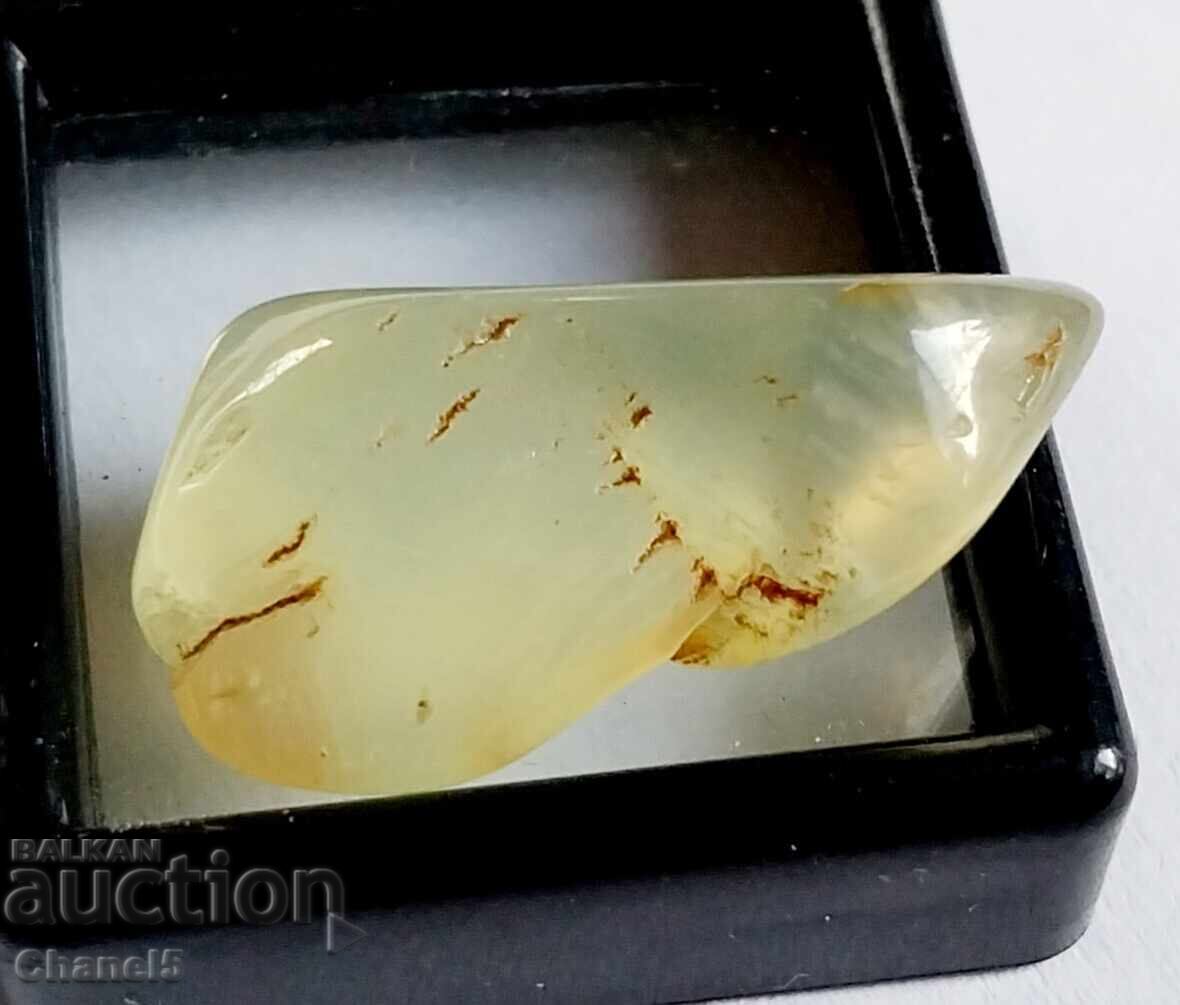 Аукцион ЕСТЕСТВЕН ПРЕНИТ - (699) Аукцион ЕСТЕСТВЕН ПРЕНИТ - (699)