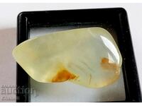 ЕСТЕСТВЕН   ПРЕНИТ - (699)