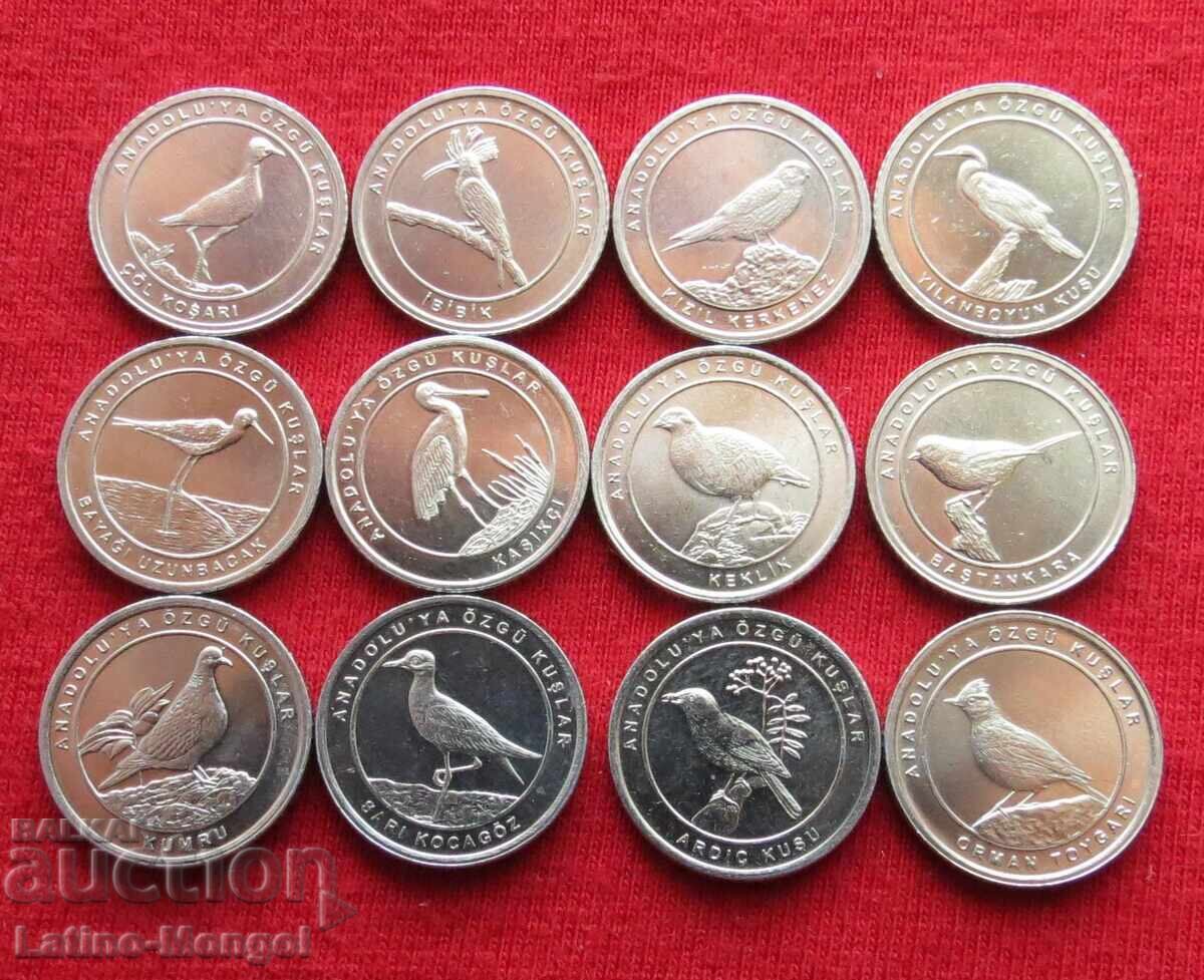 Турция 12 x 1 куруш 2020 птици Турция 12 x 1 куруш 2020 птици