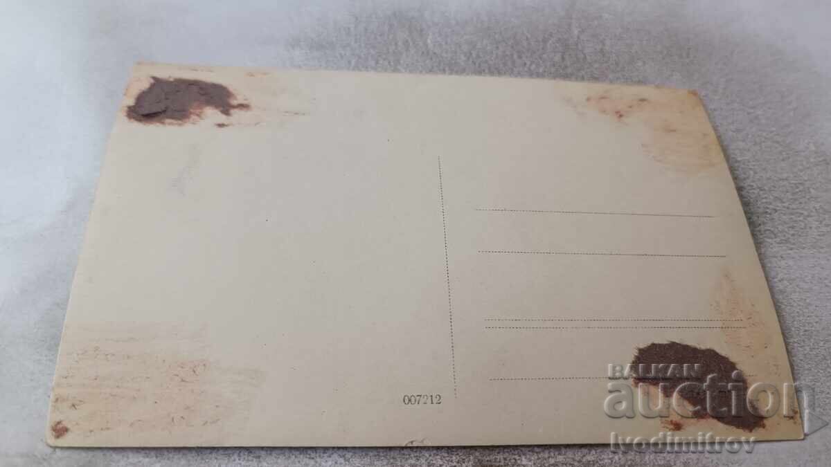 Photo Sofia Students from 7th grade in the park with price 2.35 BGN | € 1.20 Photo Sofia Students from 7th grade in the park with price 2.35 BGN | € 1.20